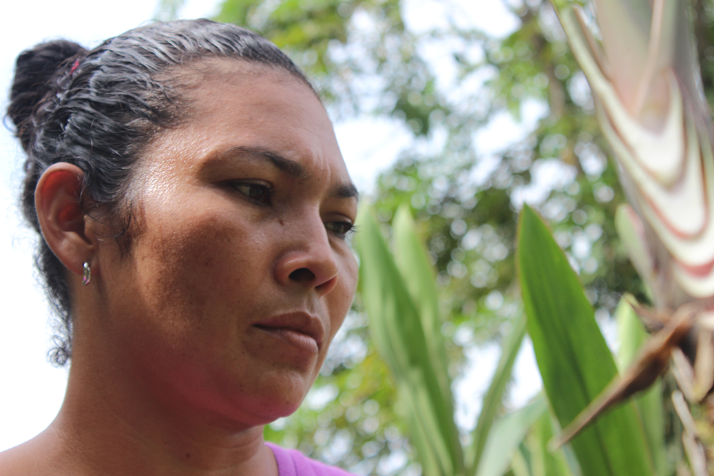 Recolección de flores