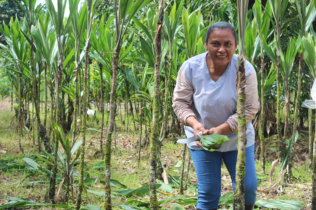 Recolección de flores